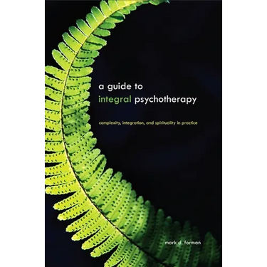 A Guide to Integral Psychotherapy: Complexity, Integration, and Spirituality in Practice