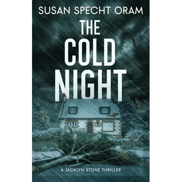 The Cold Night: A Jacklyn Stone Thriller
