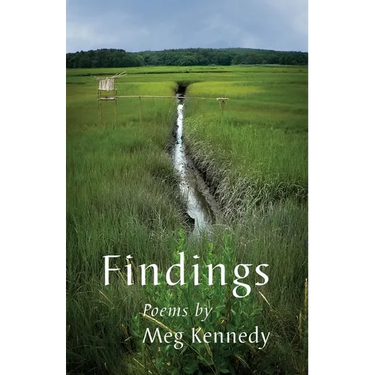 Findings