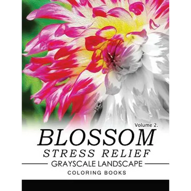 Blossom Stress Relief GRAYSCALE Landscape Coloring Books Volume 2
