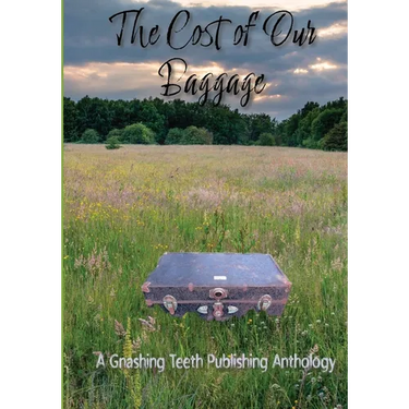 The Cost of Our Baggage