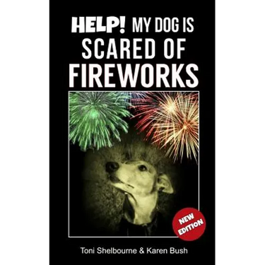 Help! My Dog is Scared of Fireworks