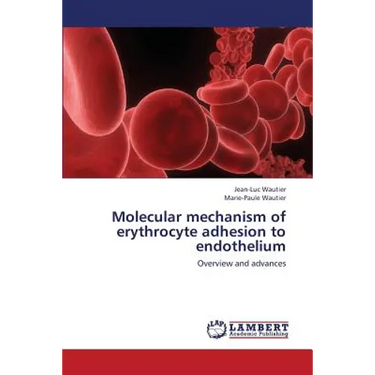 Molecular Mechanism of Erythrocyte Adhesion to Endothelium