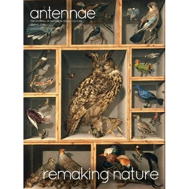 Antennae #50 Remaking Nature