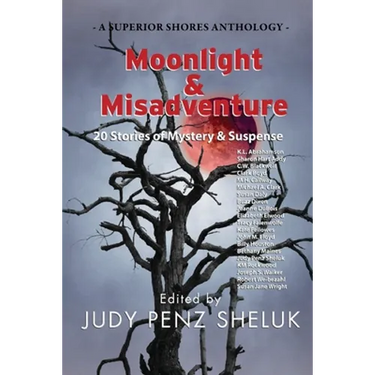 Moonlight & Misadventure: 20 Stories of Mystery & Suspense