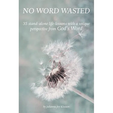 No Word Wasted: 35 stand-alone life-lessons with a unique perspective from God's Word