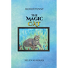 MoneyPenny The Magic Cat