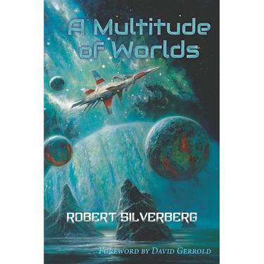 A Multitude of Worlds