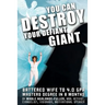 You Can Destroy Your Defiant Giant!: Battered Wife to 4.0 GPA Masters Degree in 8 Months