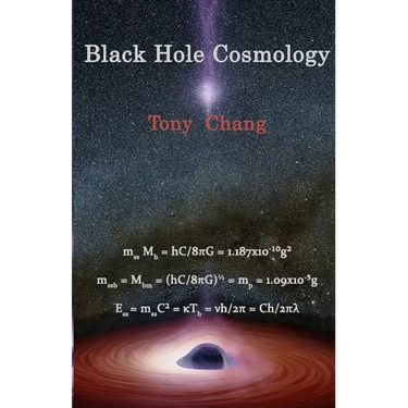 Black Hole Cosmology