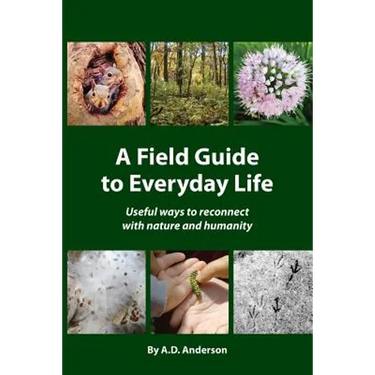 A Field Guide to Everyday Life: Useful Ways to Reconnect with Nature & Humanity