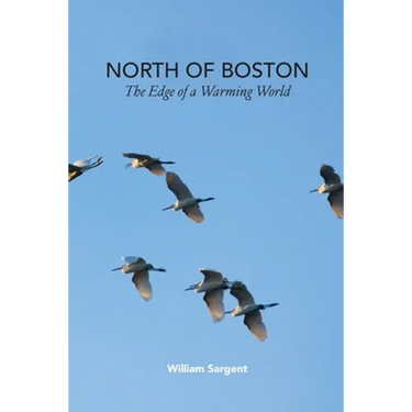 North of Boston- Whales and Tales