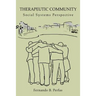 Therapeutic Community: Social Systems Perspective
