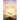 Seeds Of Hope