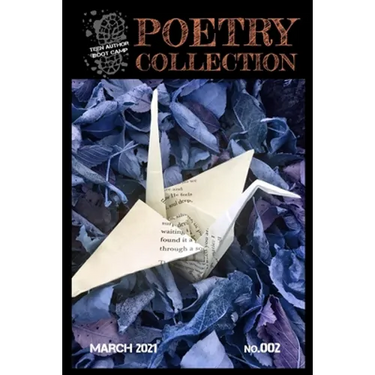 Teen Author Boot Camp Poetry Collection: Volume 2