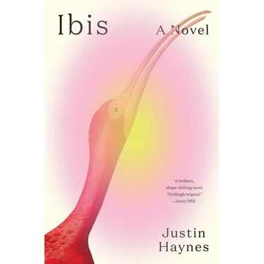 Ibis