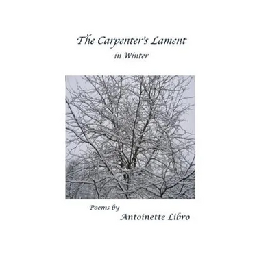 The Carpenter's Lament in Winter