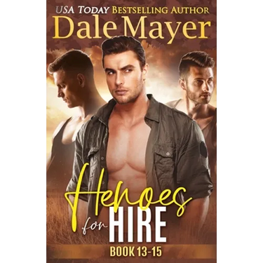 Heroes for Hire Books 13-15