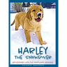 Harley the Snowdiver: Adventures with the Woodland Animals
