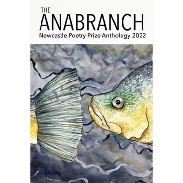 The Anabranch