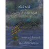 Black Beak and the Mystery of Spider Island