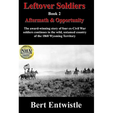 Leftover Soldiers Book 2: Aftermath & Opportunity