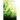 Short Stories for the Soul, Book 1