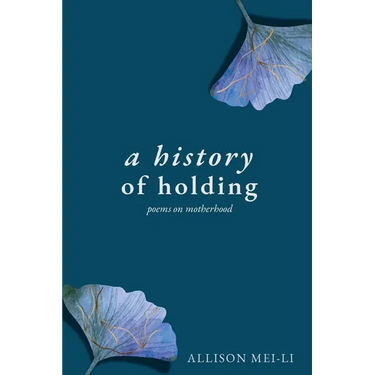 A History of Holding: Poems on Motherhood