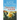 Nantucket in Bloom