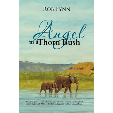 Angel in a Thorn Bush