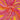 Caring is Art: Gifts of Appreciation & Encouragement for Caregivers