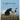 EagleHorse: A Dreamlike Journey of a Horse, an Eagle and Little Red Moon