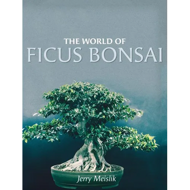 The World of Ficus Bonsai