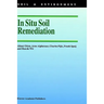 In Situ Soil Remediation