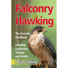 Falconry & Hawking - The Essential Handbook - Including Equipment, Training and Health