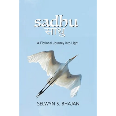 Sadhu: A Fictional Journey into Light