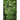 A Kudzu Vine of Blood and Bone