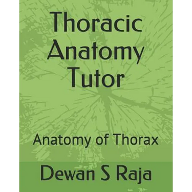 Thoracic Anatomy Tutor: Designed for Anatomy Students of All Levels
