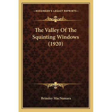 The Valley Of The Squinting Windows (1920)