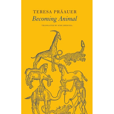 Becoming Animal