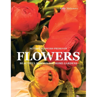 Flowers: Beautiful Blooms for Home Gardens