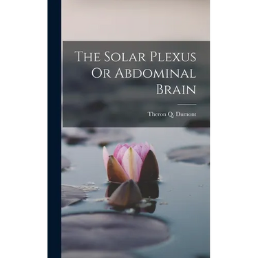 The Solar Plexus Or Abdominal Brain