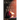 Inside the Red Tent