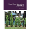 Yellow Flags: Quarantine volume 10: July 2021-August 2021