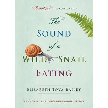 The Sound of a Wild Snail Eating