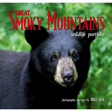 Great Smoky Mountains Wildlife Portfolio