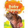 Baby Hippos