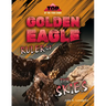 Golden Eagle: Ruler of the Skies