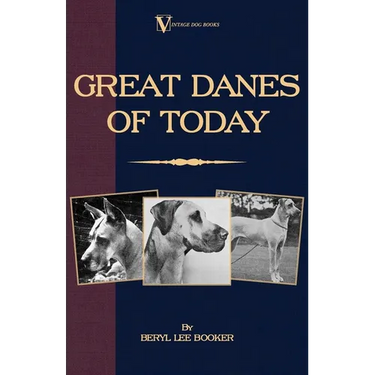 Great Danes of Today