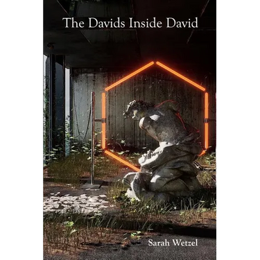 The Davids Inside David